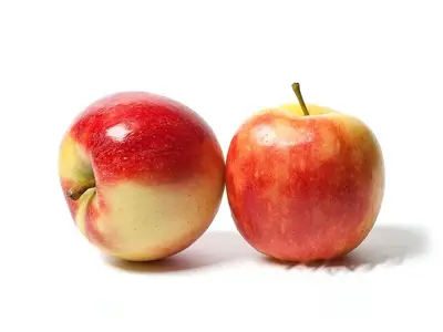 Appel Elstar