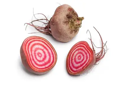 Bieten Chioggia