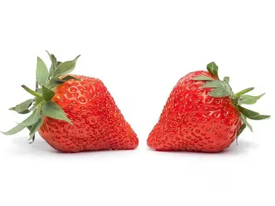 Aardbeien Sonata doos a 8 x 500 gram