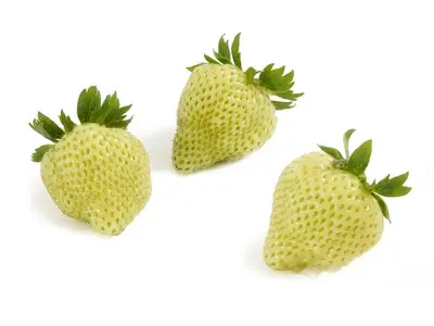Aardbeien groen per 500 gram