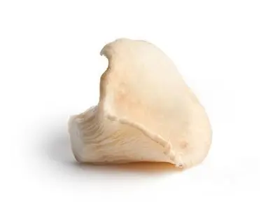 Oesterzwammen per 250 gram