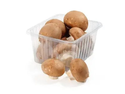 Kastanje champignon 1,5kg