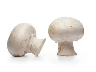 Champignons per kistje a 3kg