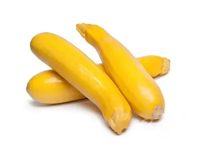 Courgette geel