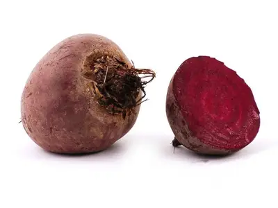 Bieten Rood