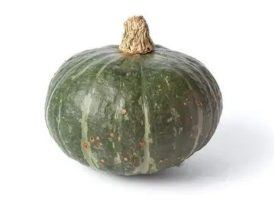 Pompoen Hokkaido groen Bio