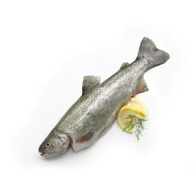 Forel vers, kweek