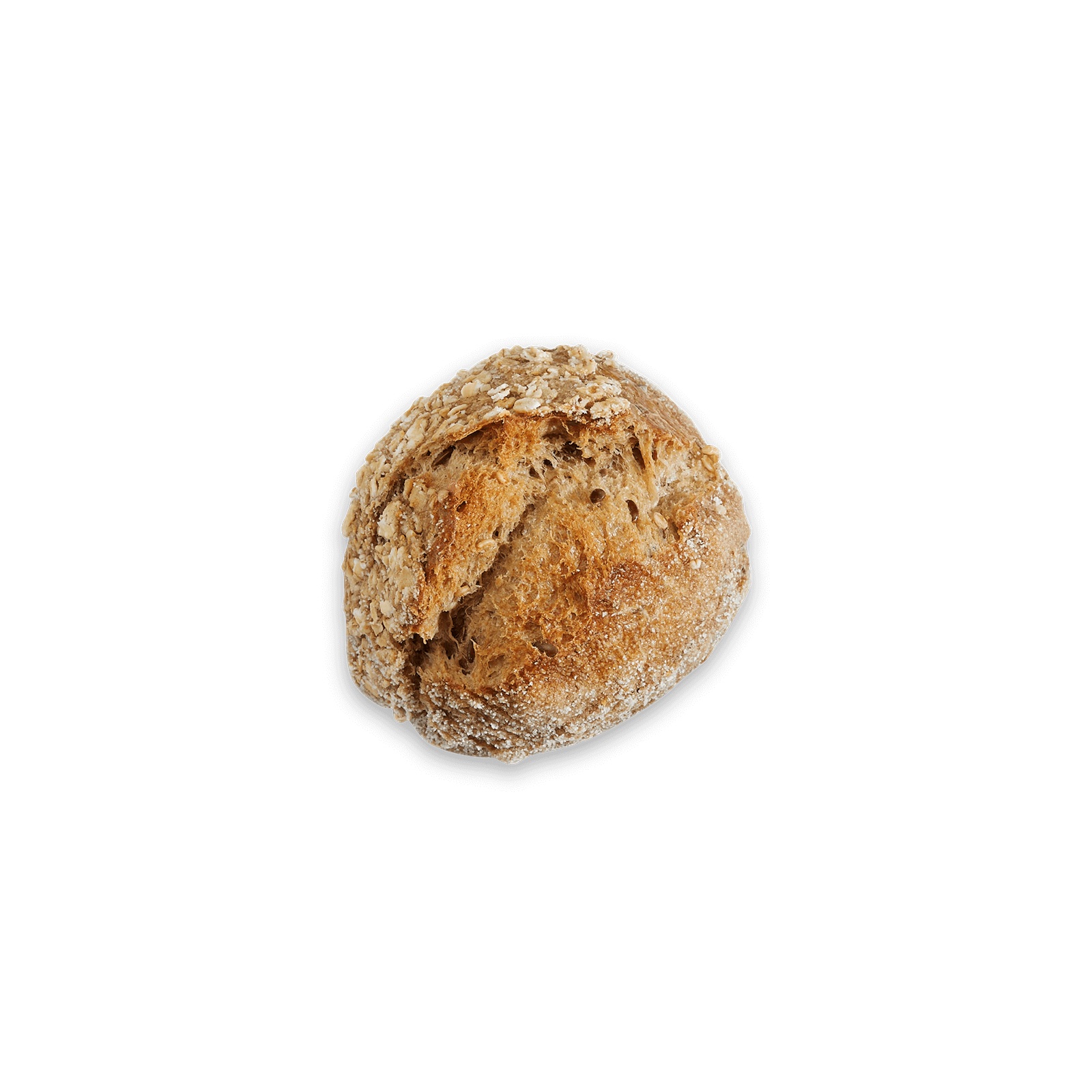 Jonkheer donker mini haver