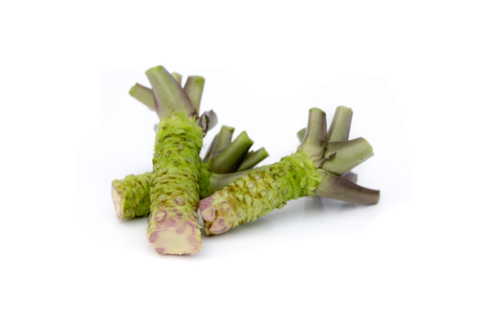 Wasabi 'vers Nederlands'