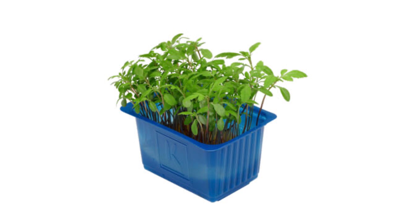 Accla Cress kist a 9 stuks