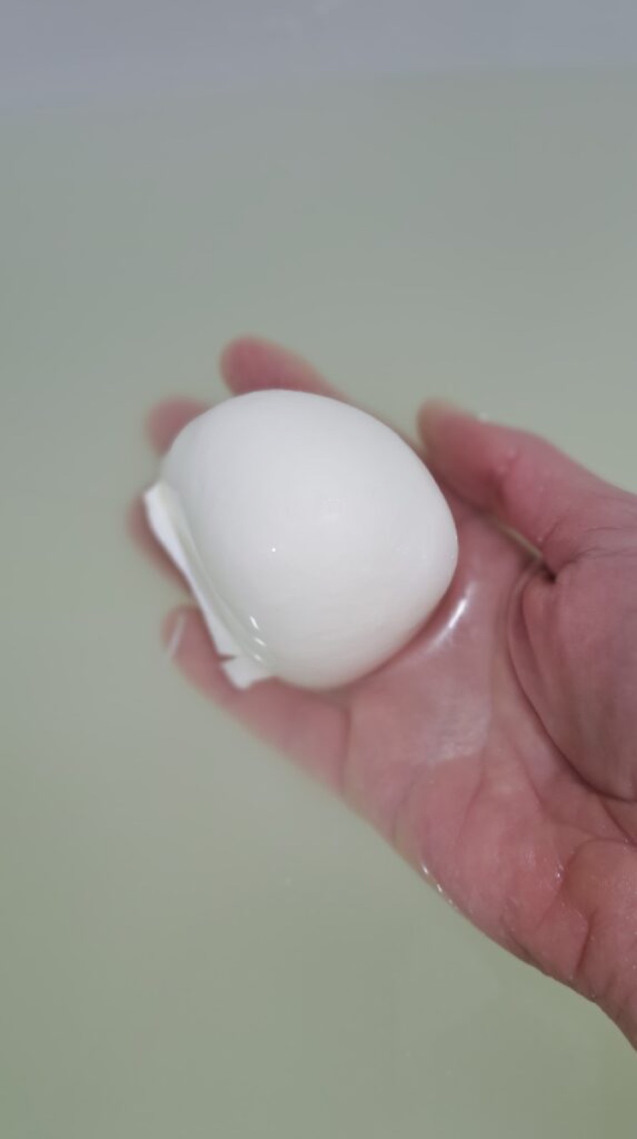 Buffelmozzarella 100g emmer 15st.