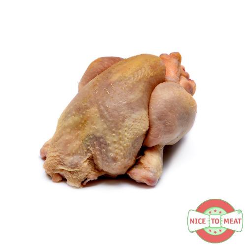 Maiskip poussin