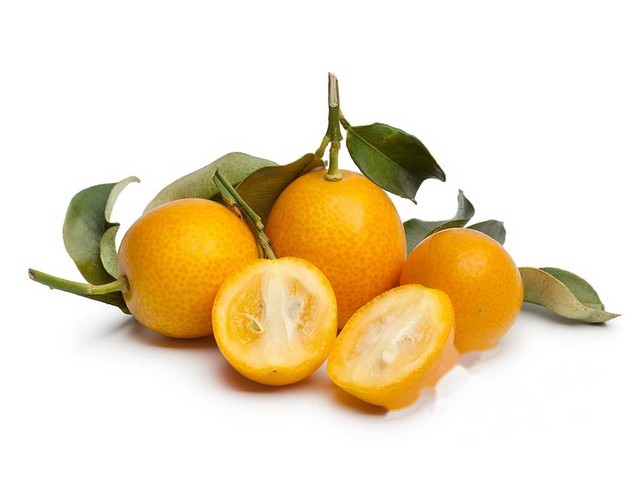 Kumquat