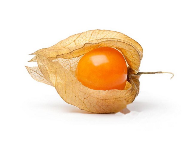 Physalis (goudbes)