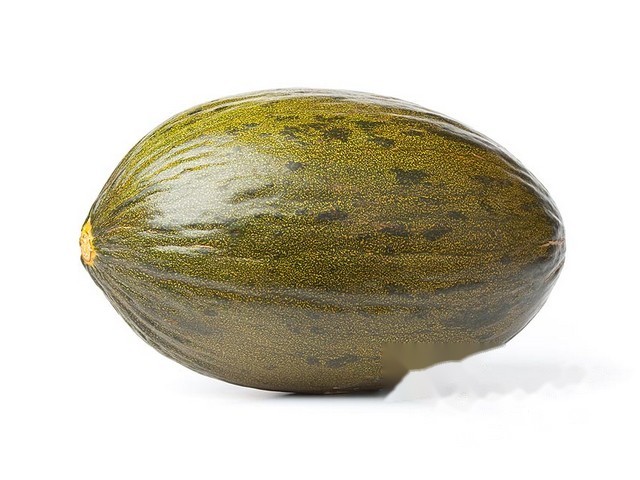 Meloen Piel de Sapo