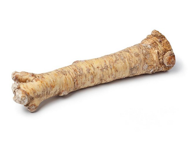 Mierikswortel