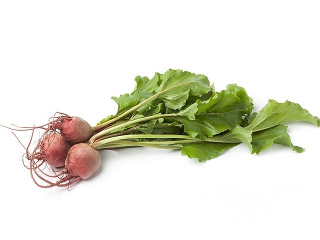 Mini bietjes chioggia
