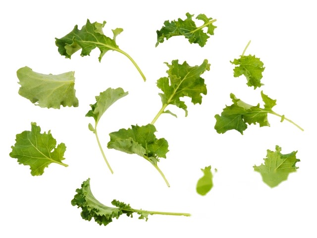 Pousse de kale 'boerenkoolscheutjes' bak 125gram