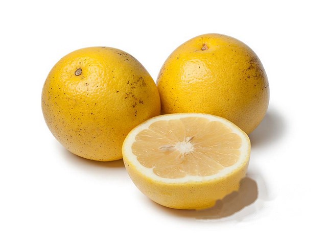 Grapefruit wit