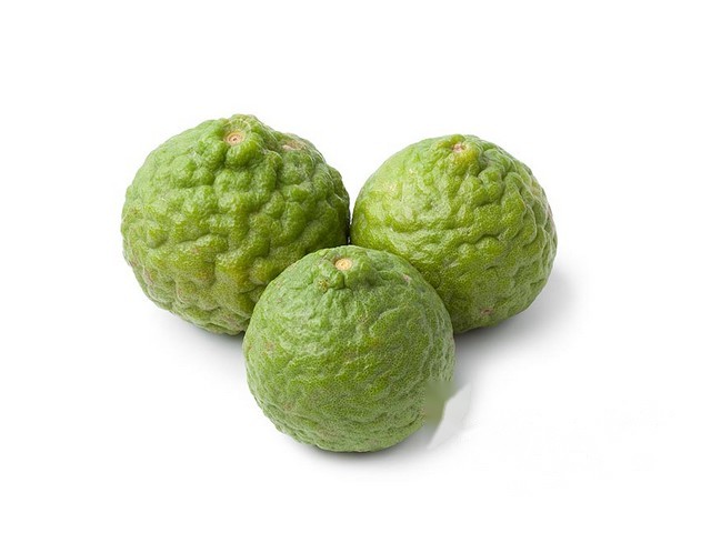 Limes Kaffir