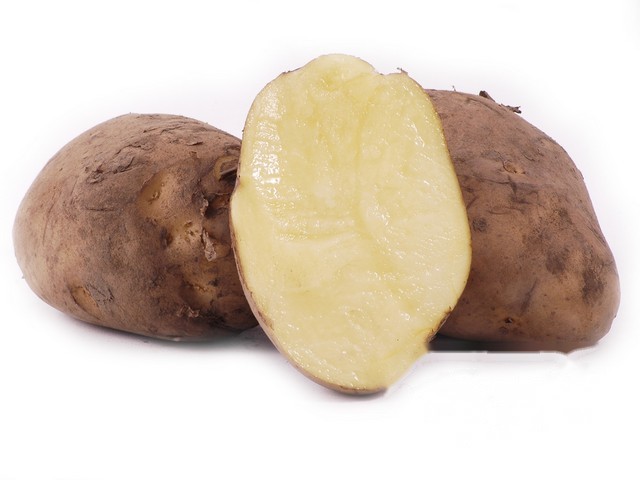 Frieslander aardappel