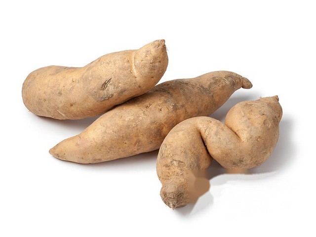 Zoete aardappel wit