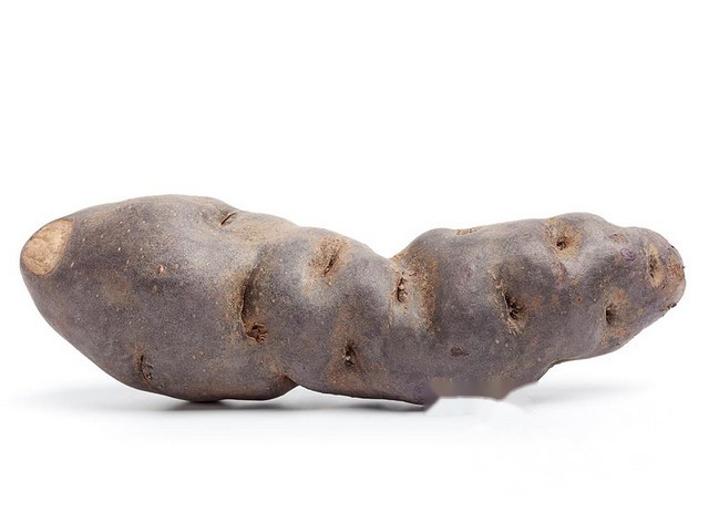 Truffelaardappel violettes noir