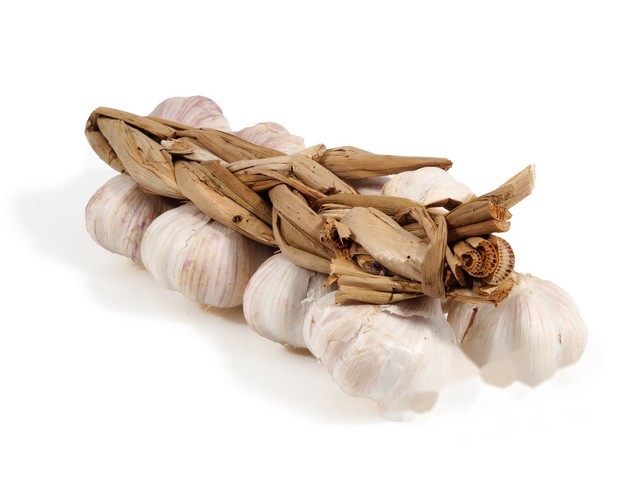 Knoflook gedroogd streng