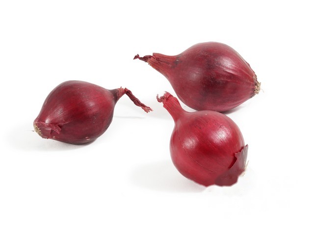 Uien rood mini