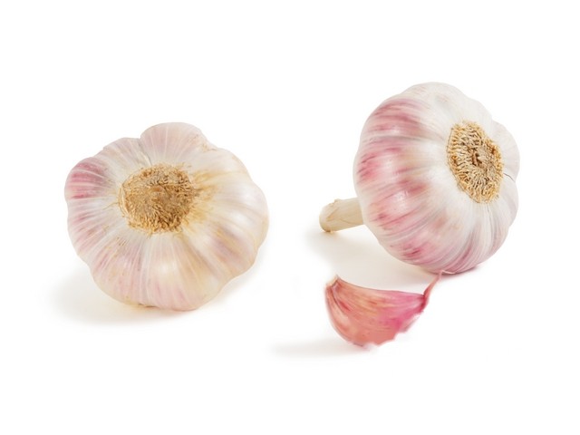Knoflook l´autrec