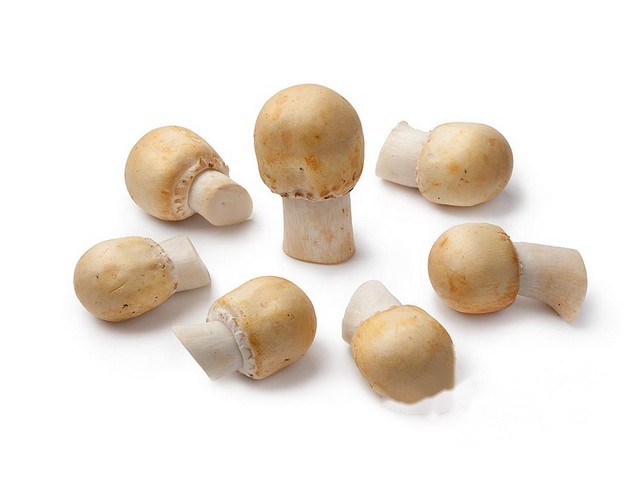 Akker Paddenstoelen per 250gram