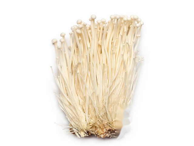 Enoki wit