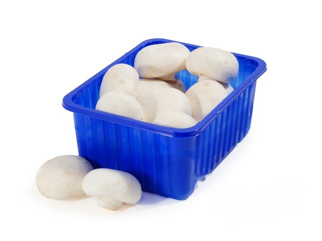 Champignon per 500 gram