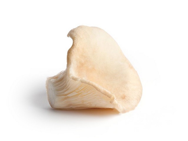 Oesterzwammen per 250 gram