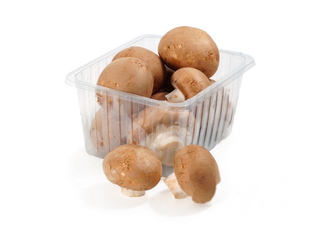 Kastanje champignon 1,5kg