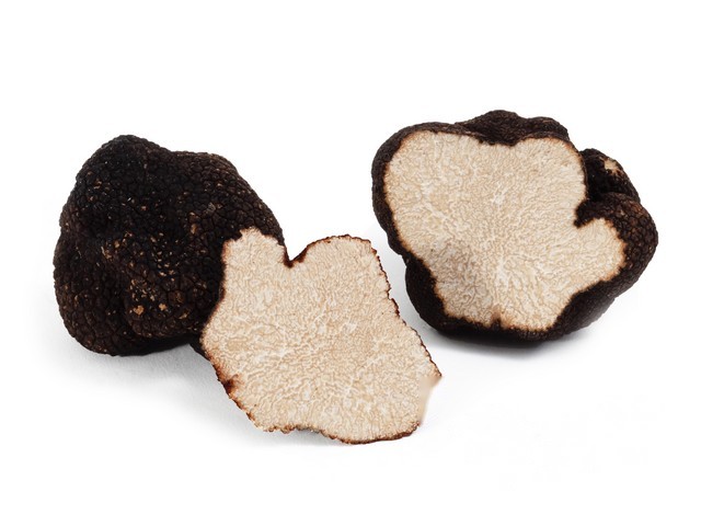Truffel zomer 'tuber aestivum'