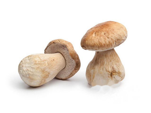 Cepes doorgesneden