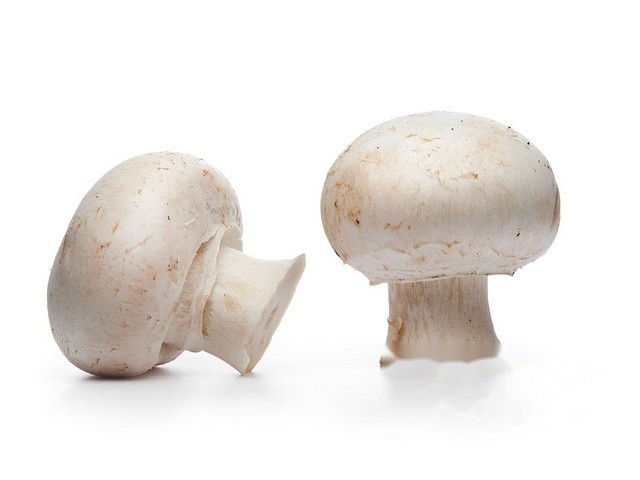 Champignons per kistje a 3kg