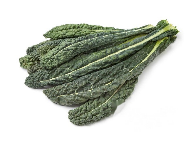 Cavolo Nero / Palmkool