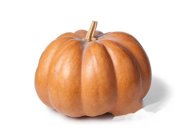 Pompoen Muskaat