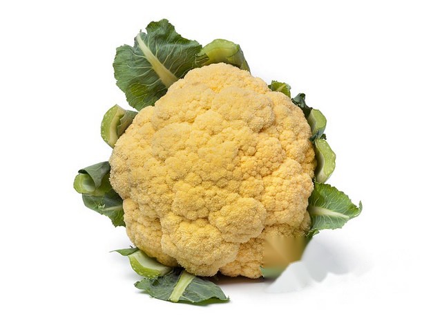Bloemkool geel