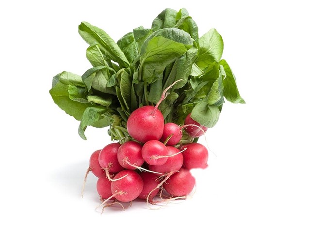 Radijs rood