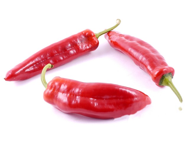 Puntpaprika rood