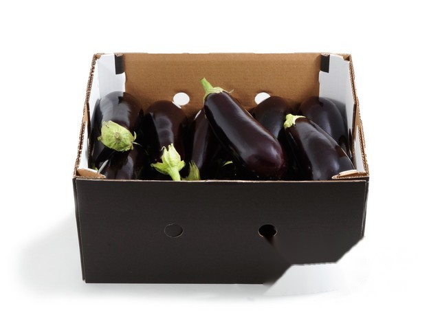Aubergine per 5kg