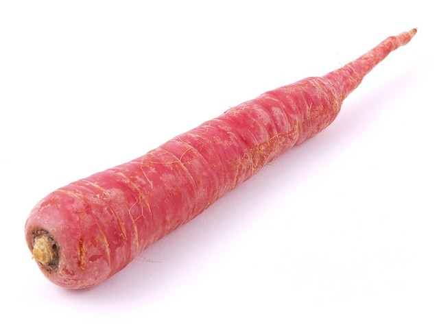 Winterpeen rood- Paul Pronk, De Goorn