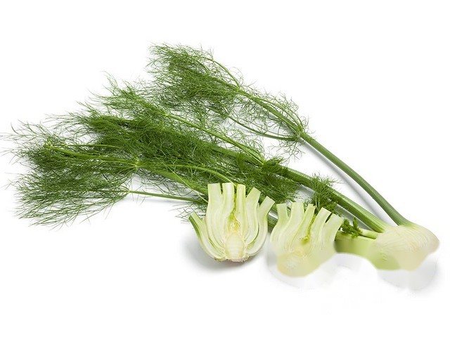 Venkel per 5 kg
