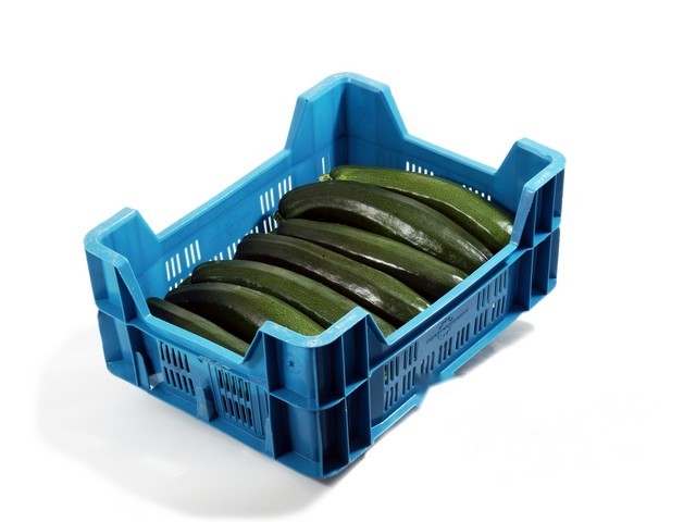 Courgette groen per kist