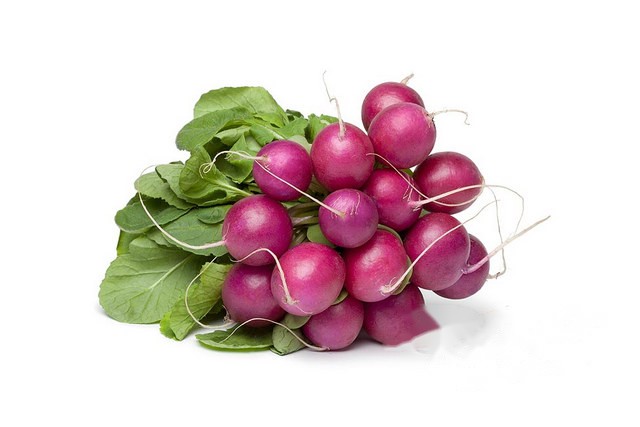 Radijs paars