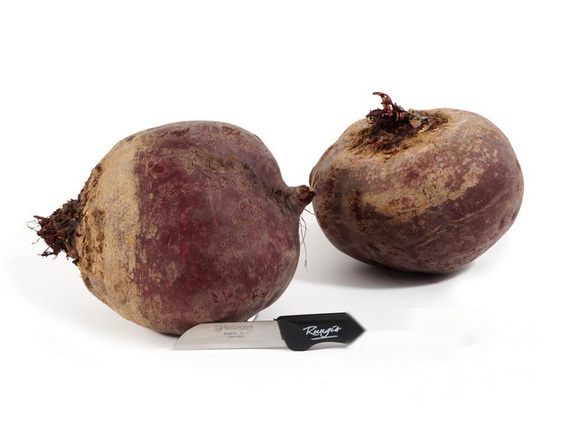 Bieten rood XXL 'millefeuille'