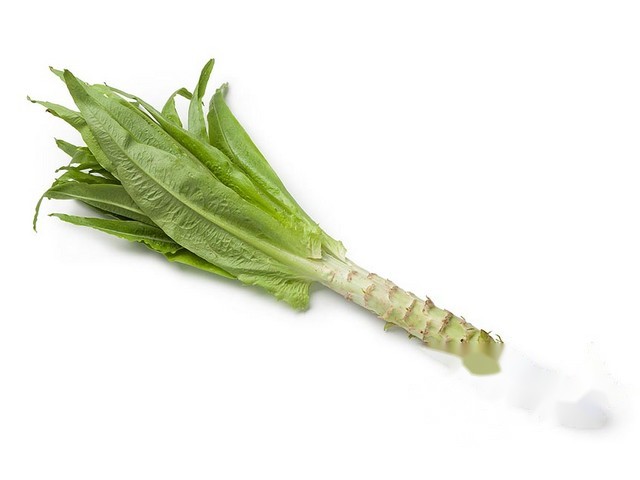 Aspergesla / celtuse